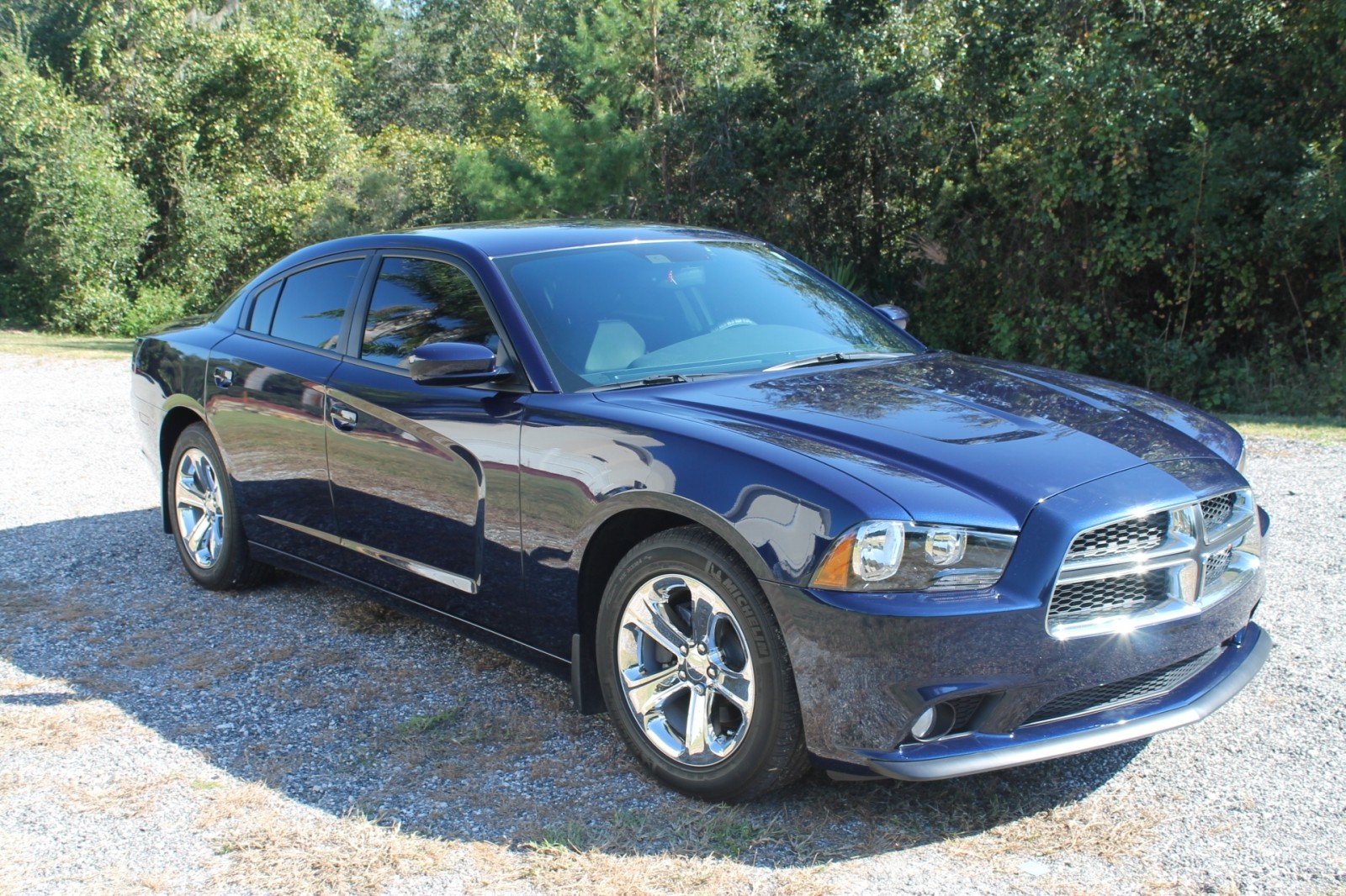 Paint Correction Project