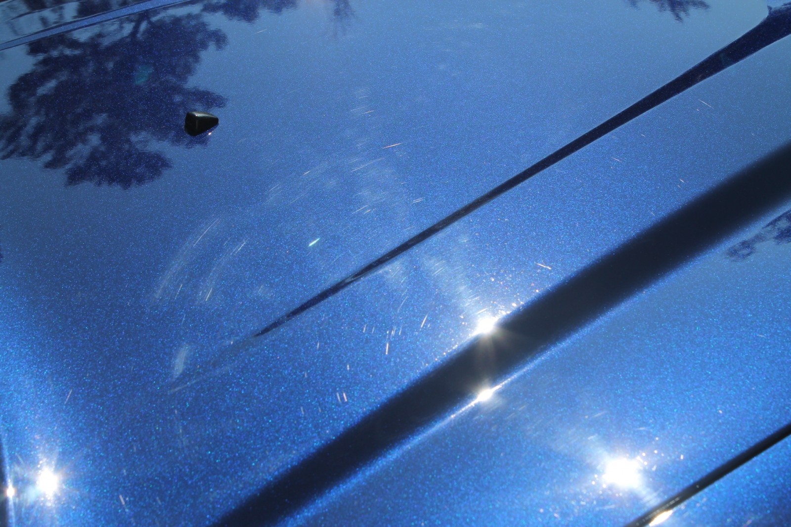 Paint Correction Project
