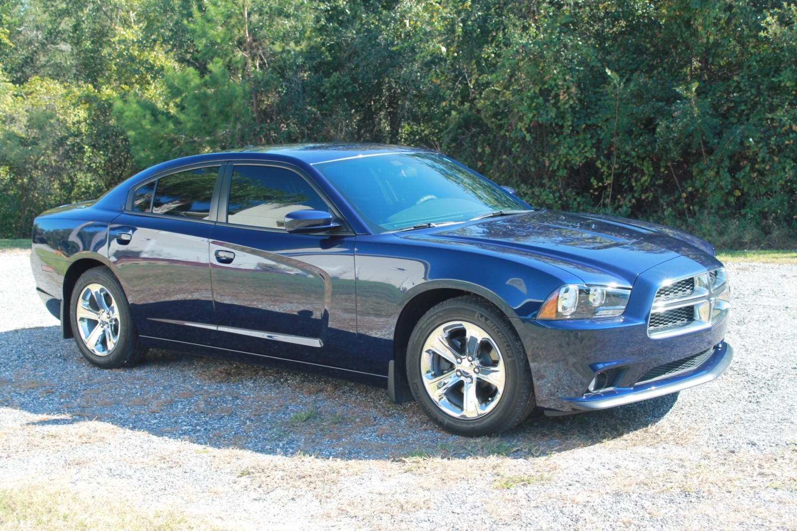 Paint Correction Project