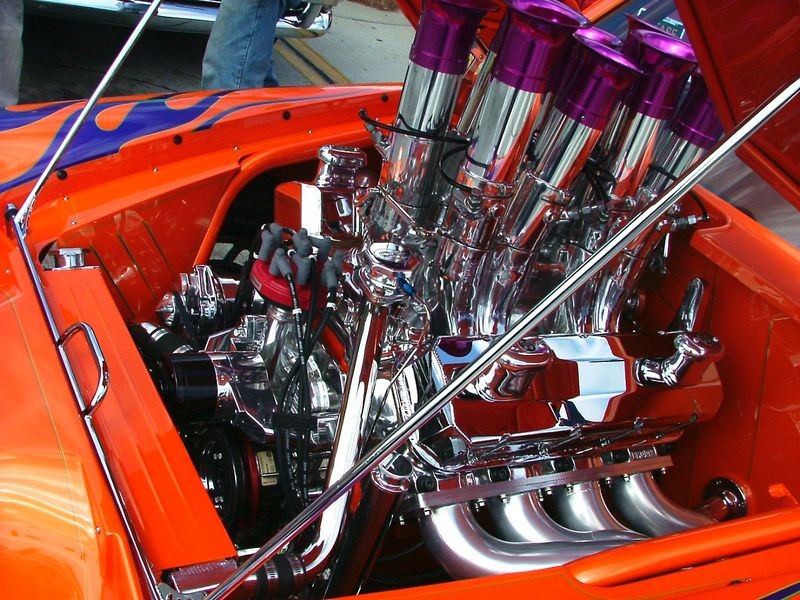 Panic Parrot detailed by Mike Phillips