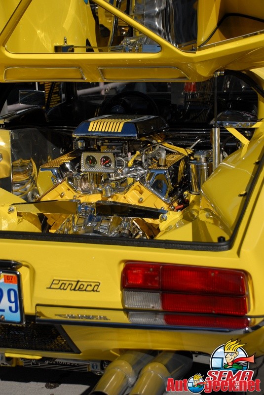 Pantera