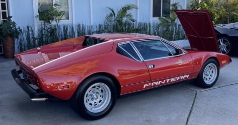 pantera1