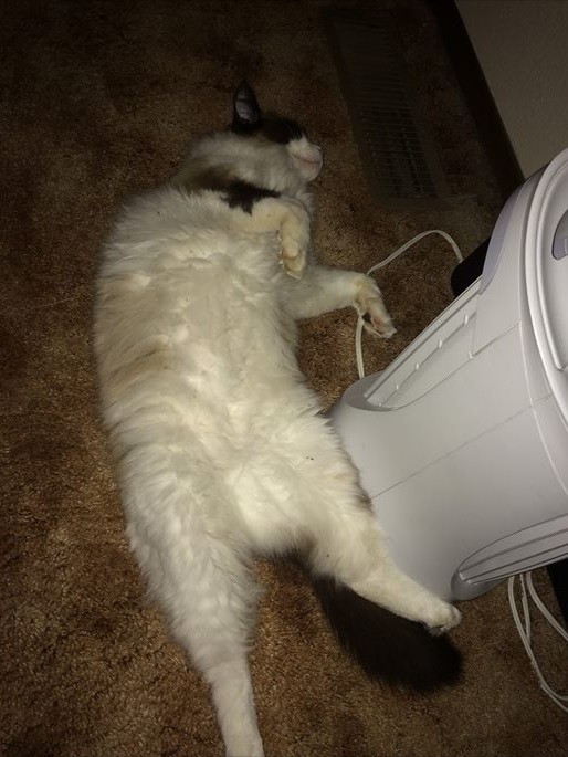passedout