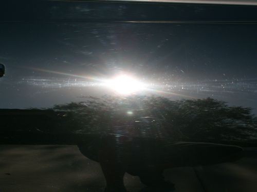 Passenger_Door_Before3