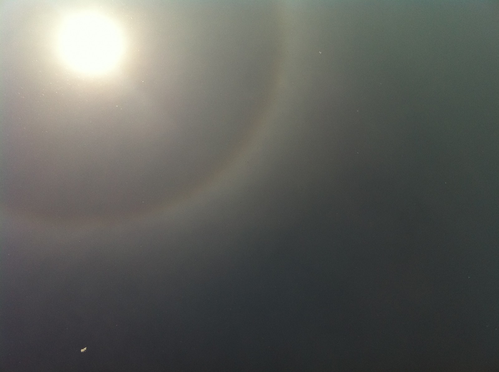 photo-16