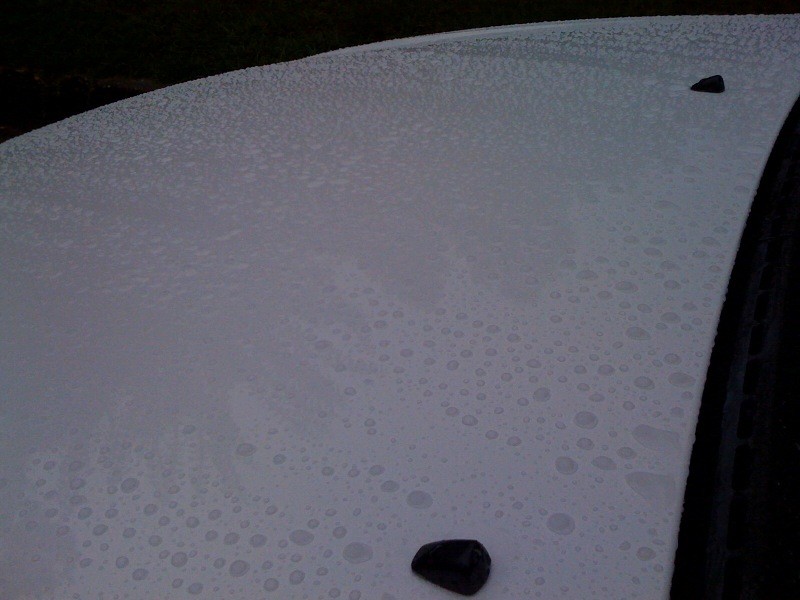 photo1a