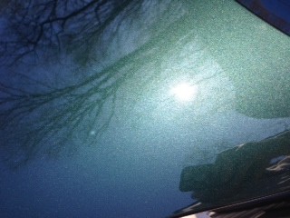 photo45