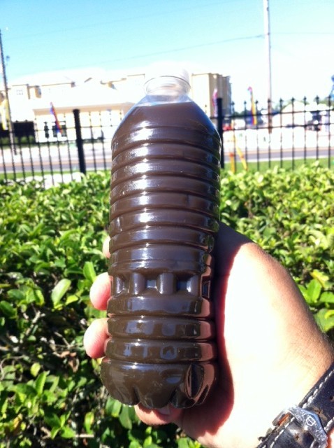 photo48