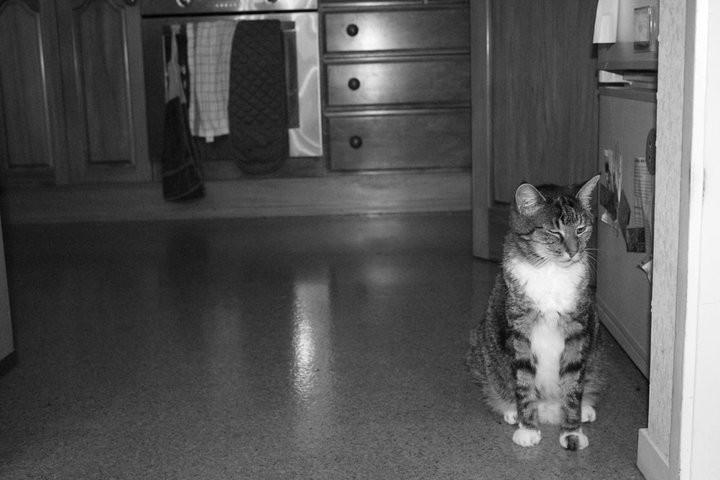 Photos taken with my Canon EOS 550D
