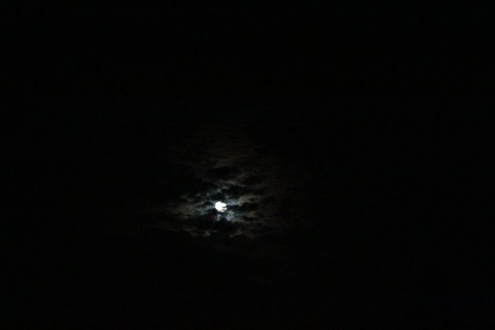 Photos taken with my Canon EOS 550D