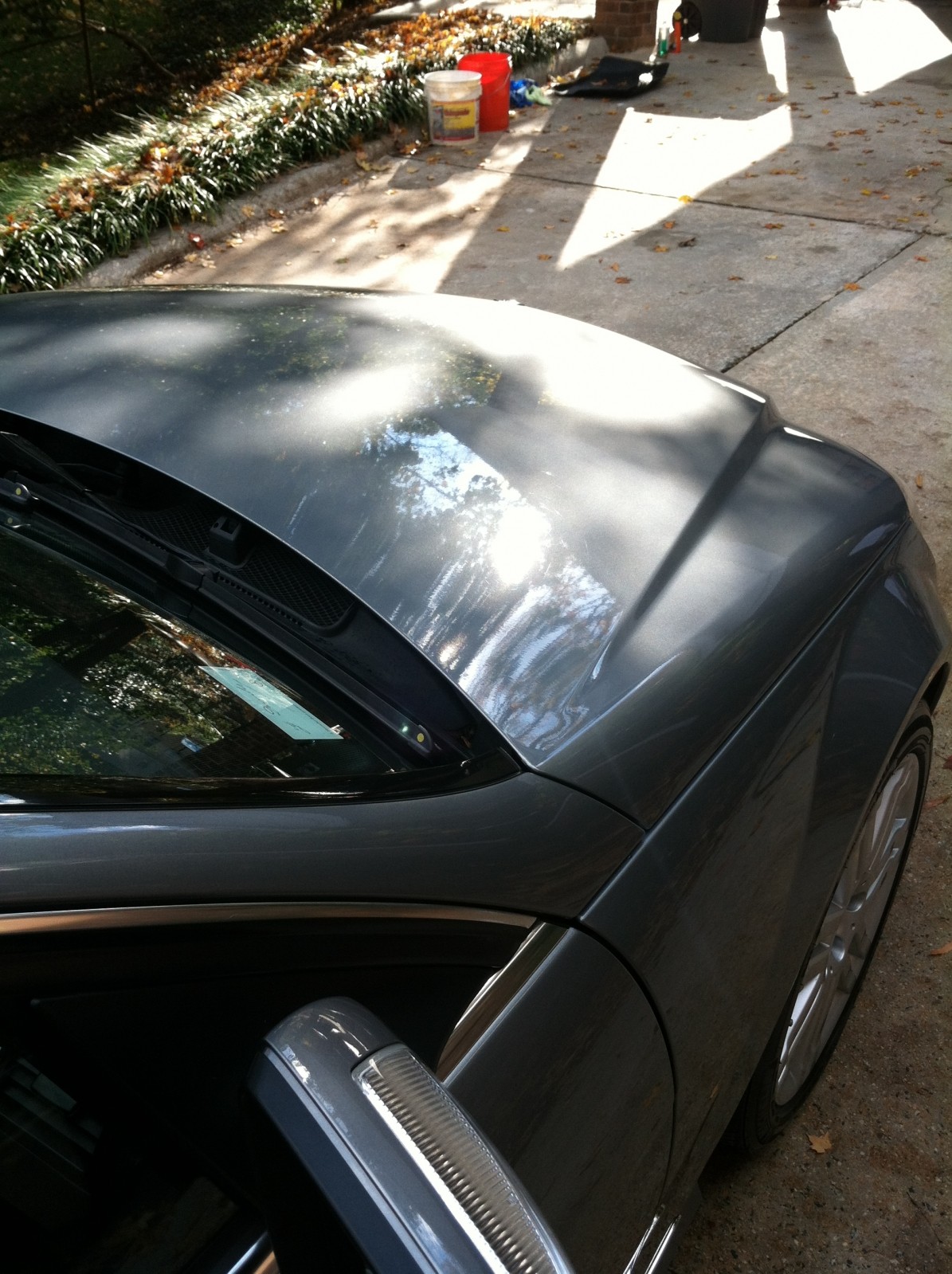 Picture_388