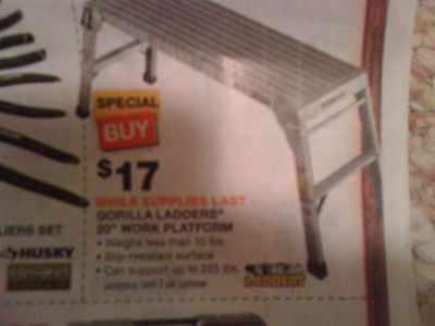 platform_ladder1