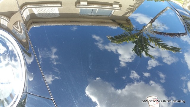 Porsche 911 Paint Correction Ceramic Coating West Palm Beach