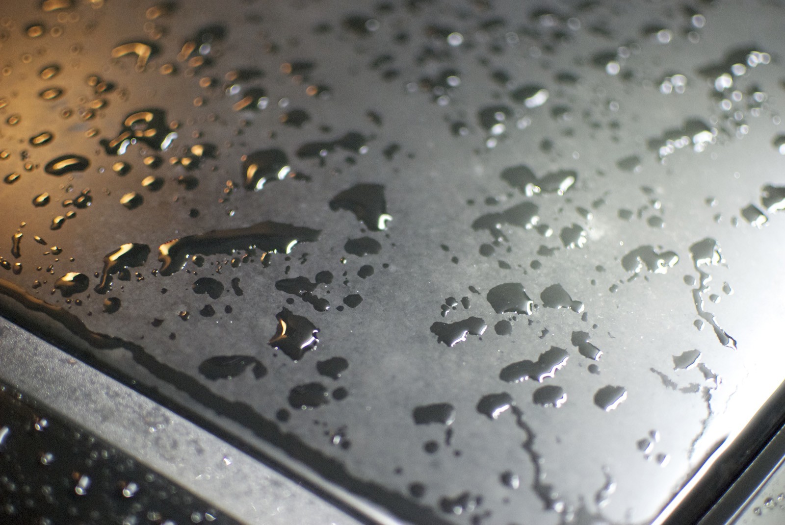 Pre_Detail_002