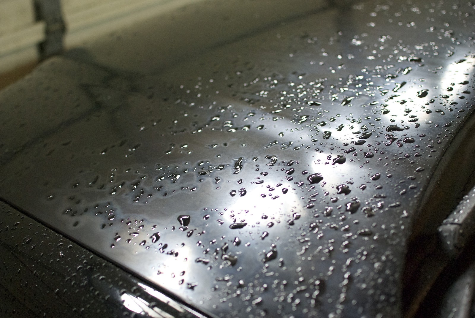 Pre_Detail_005