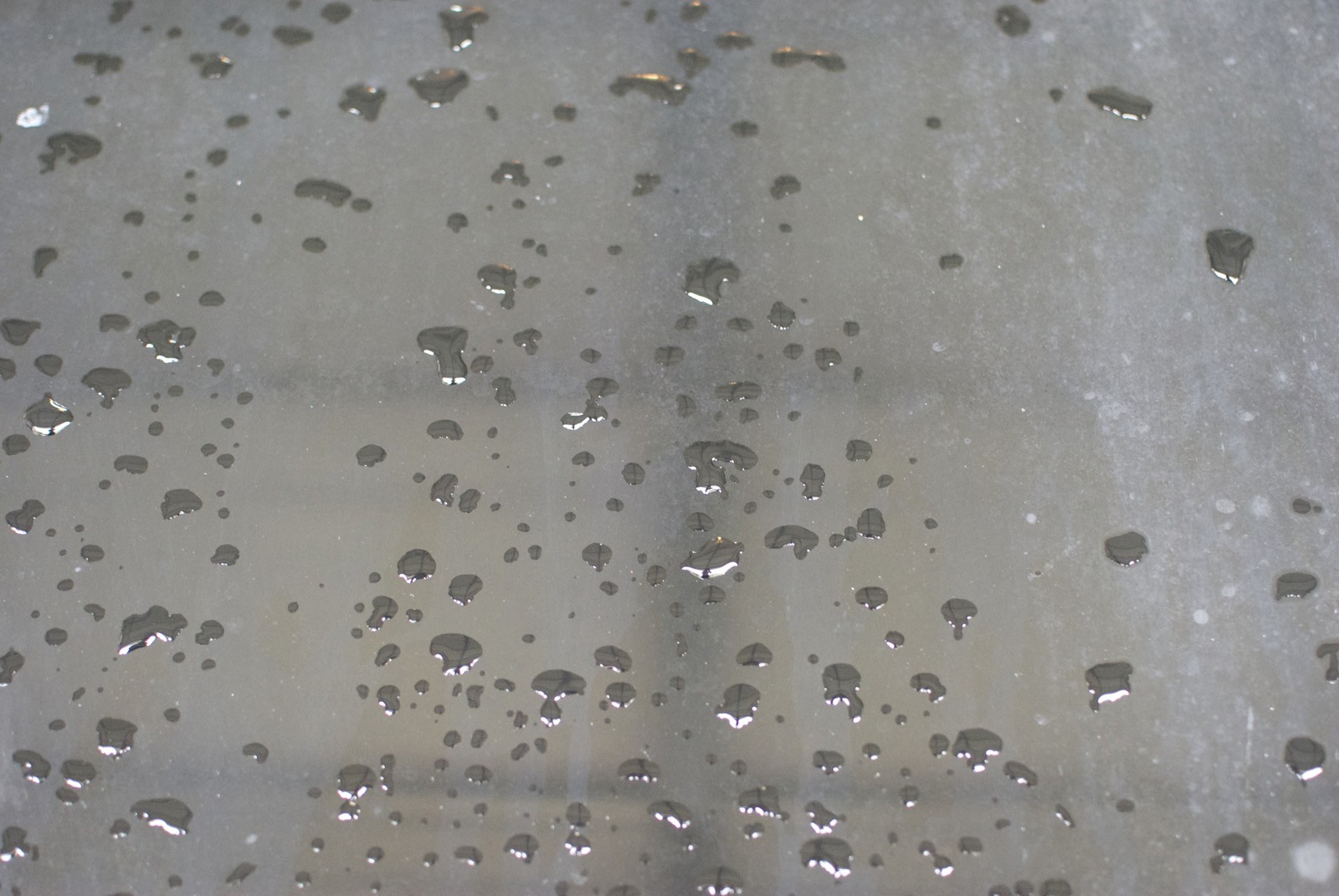 Pre_Detail_009