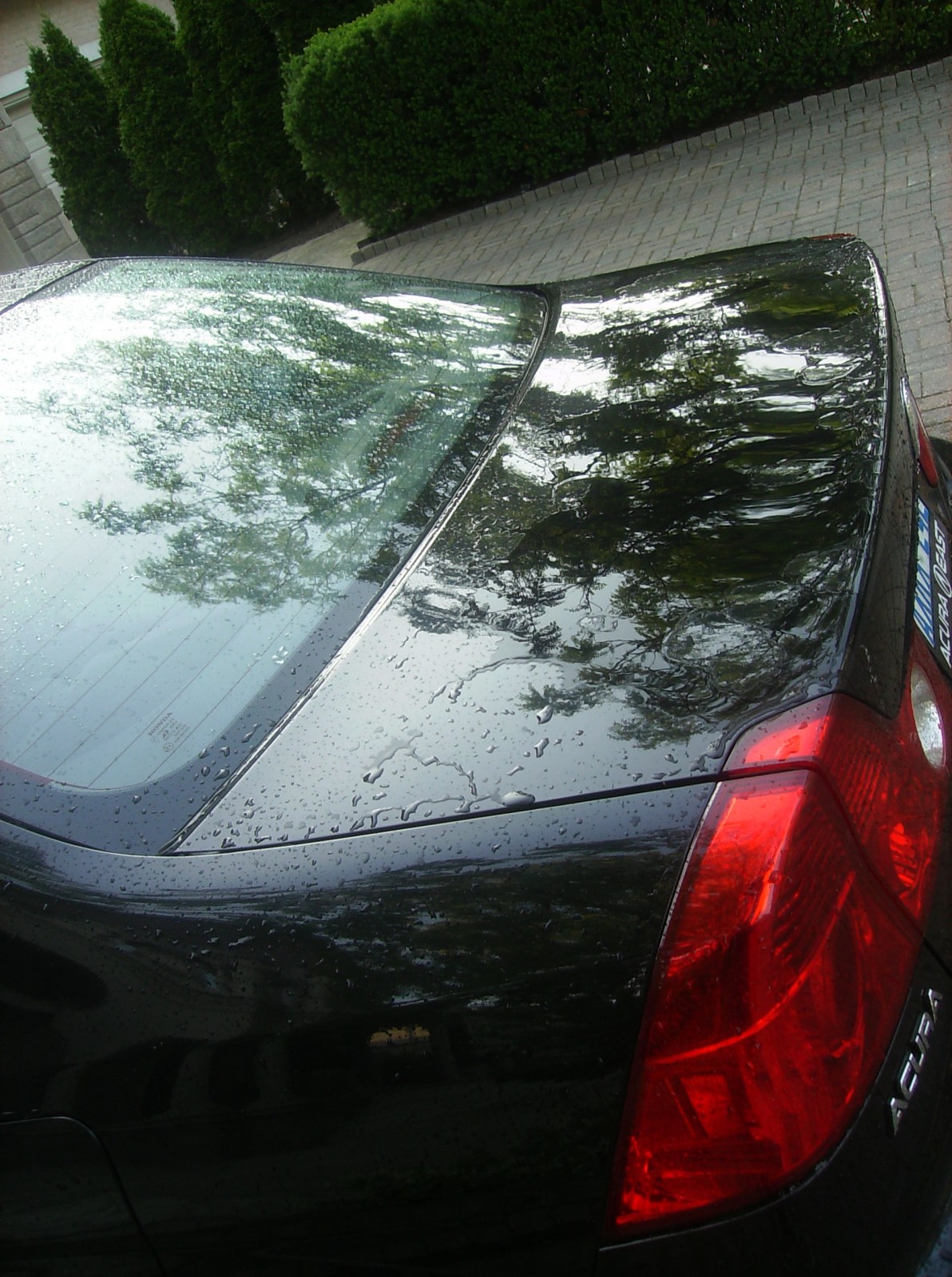 prewash_rinse