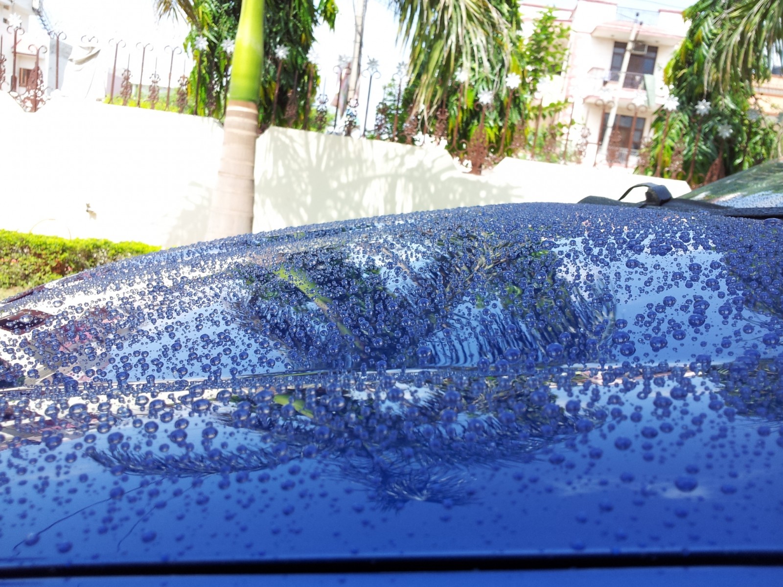 Prima Hydro seal