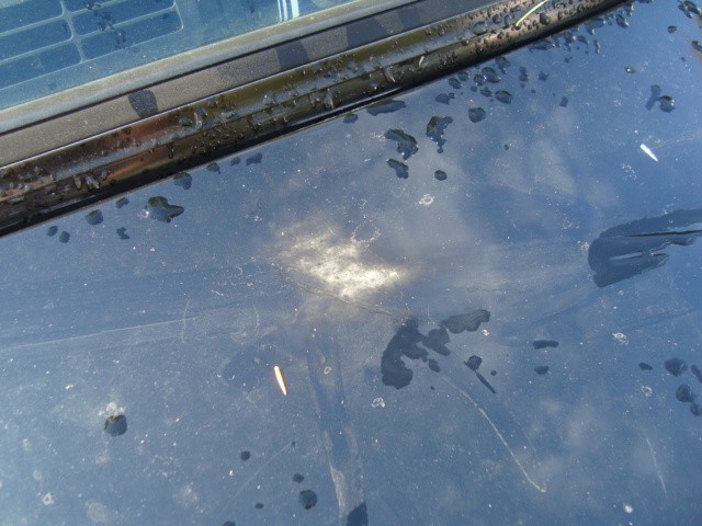 Primer showing through paint
