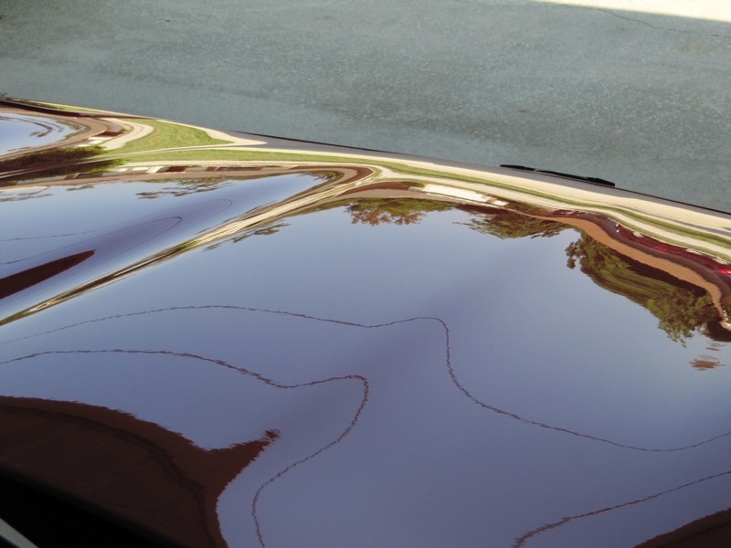 primo wax on vette