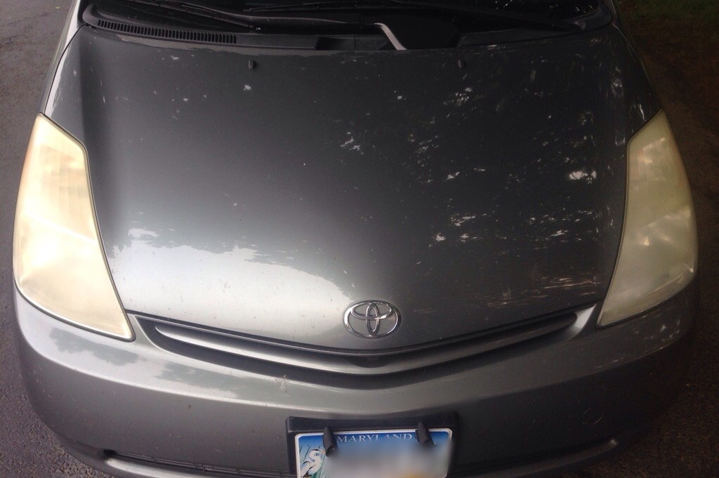 Prius01
