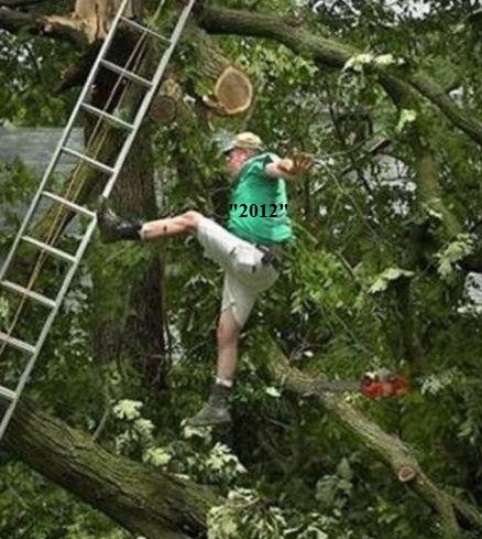 Psshsawing_off_the_wrong_limb2