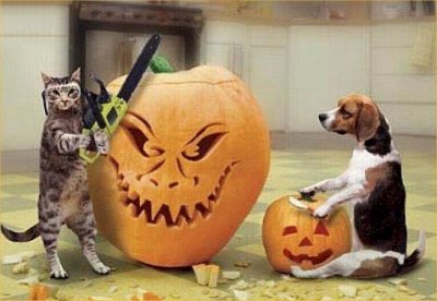 pumpkin-carving-1