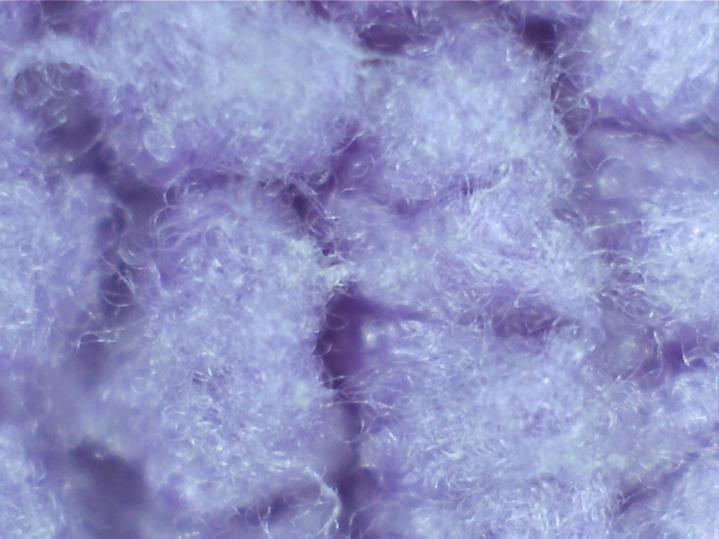 Purple_MF