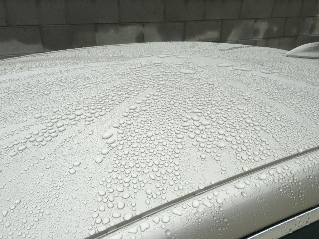 Rain 1/04/2017