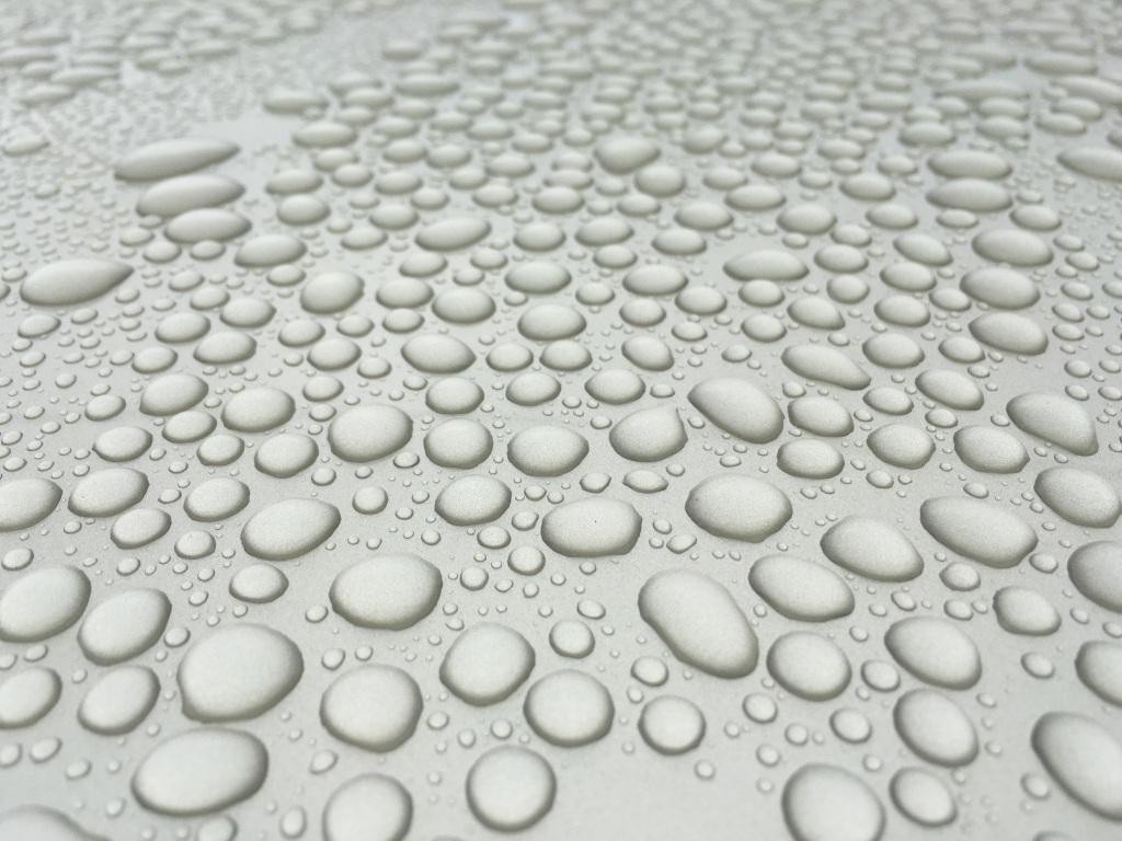 Rain 1/04/2017