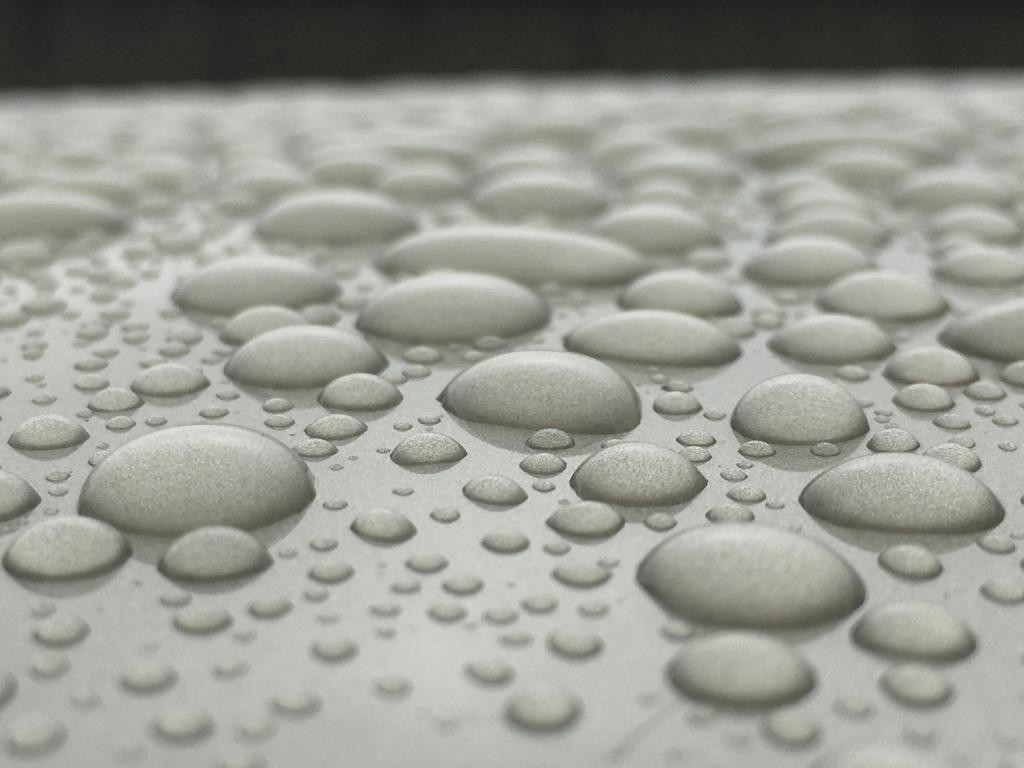 Rain 1/04/2017