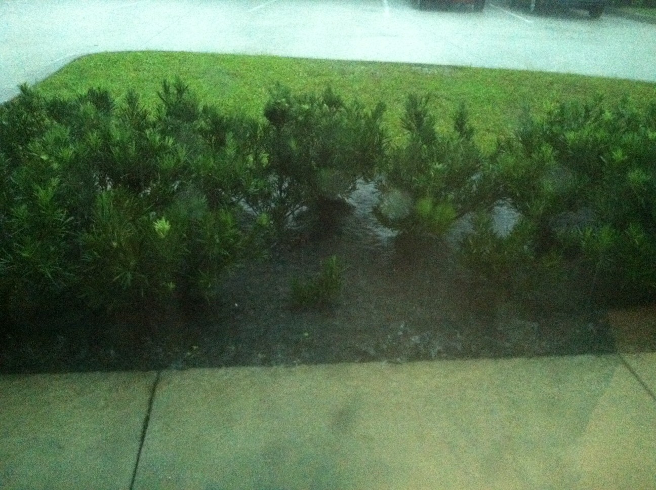 Rain