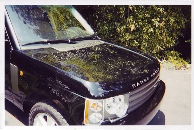 Range Rover Reflection