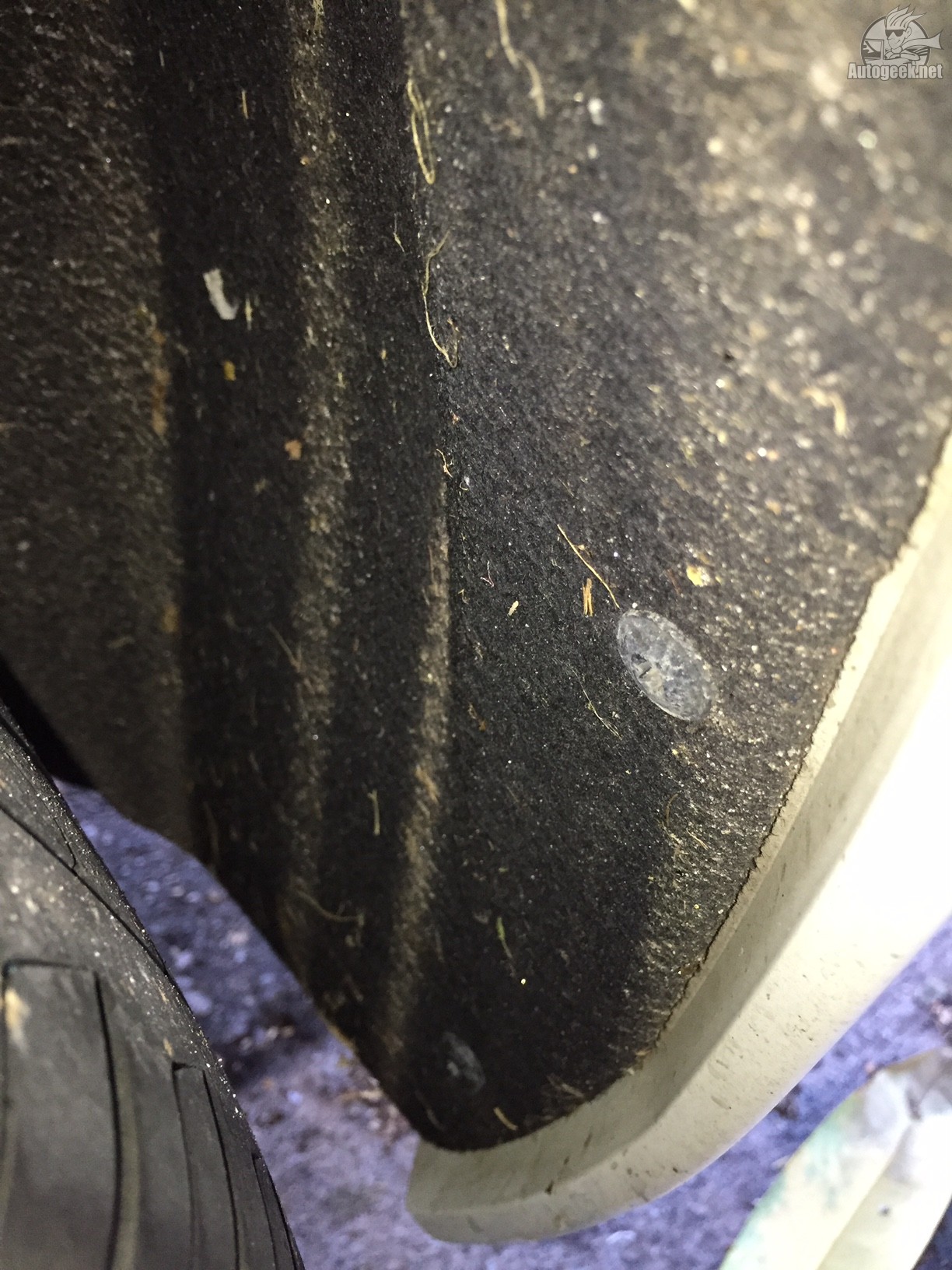 Rear Wheel Fender