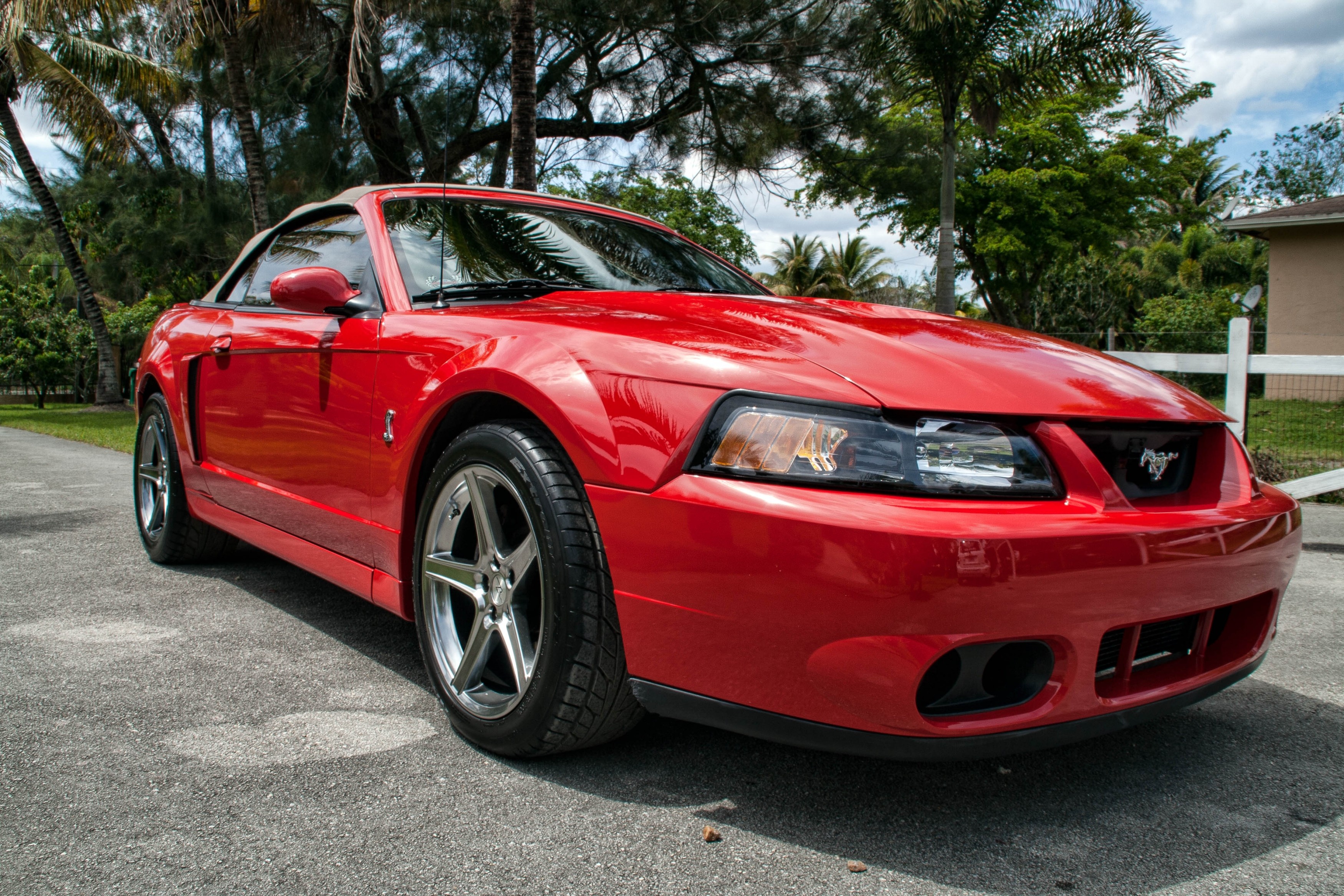 red_stang