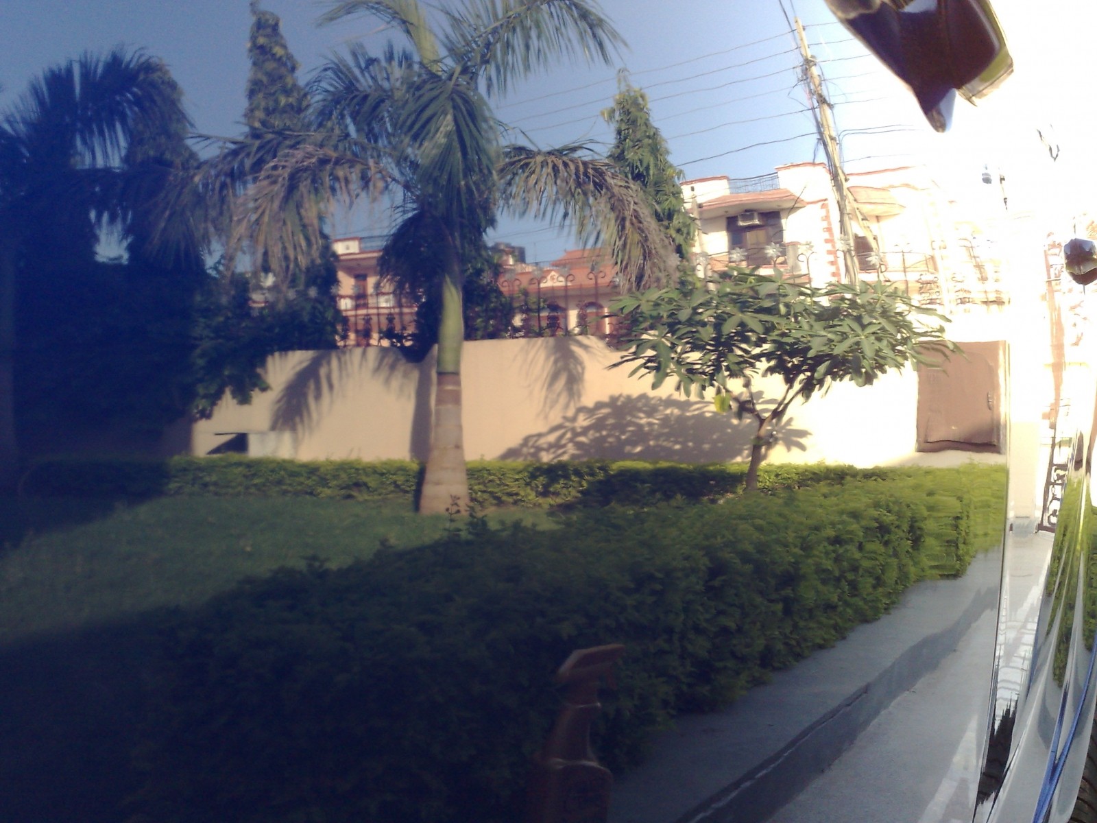 Reflection shot of the garden!