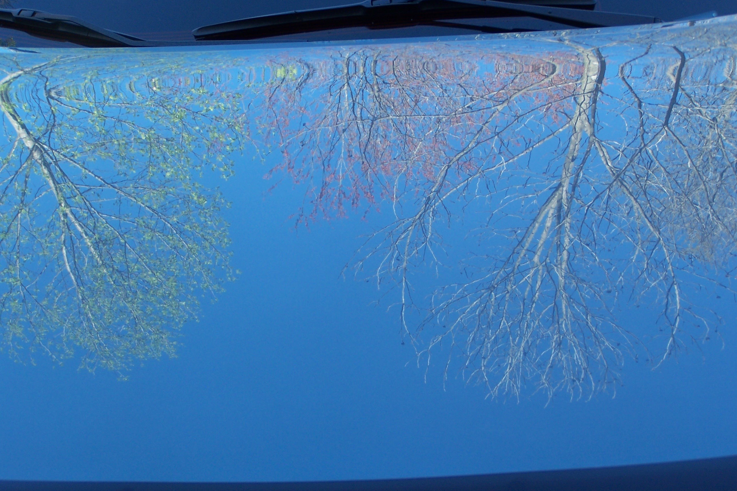 Reflections