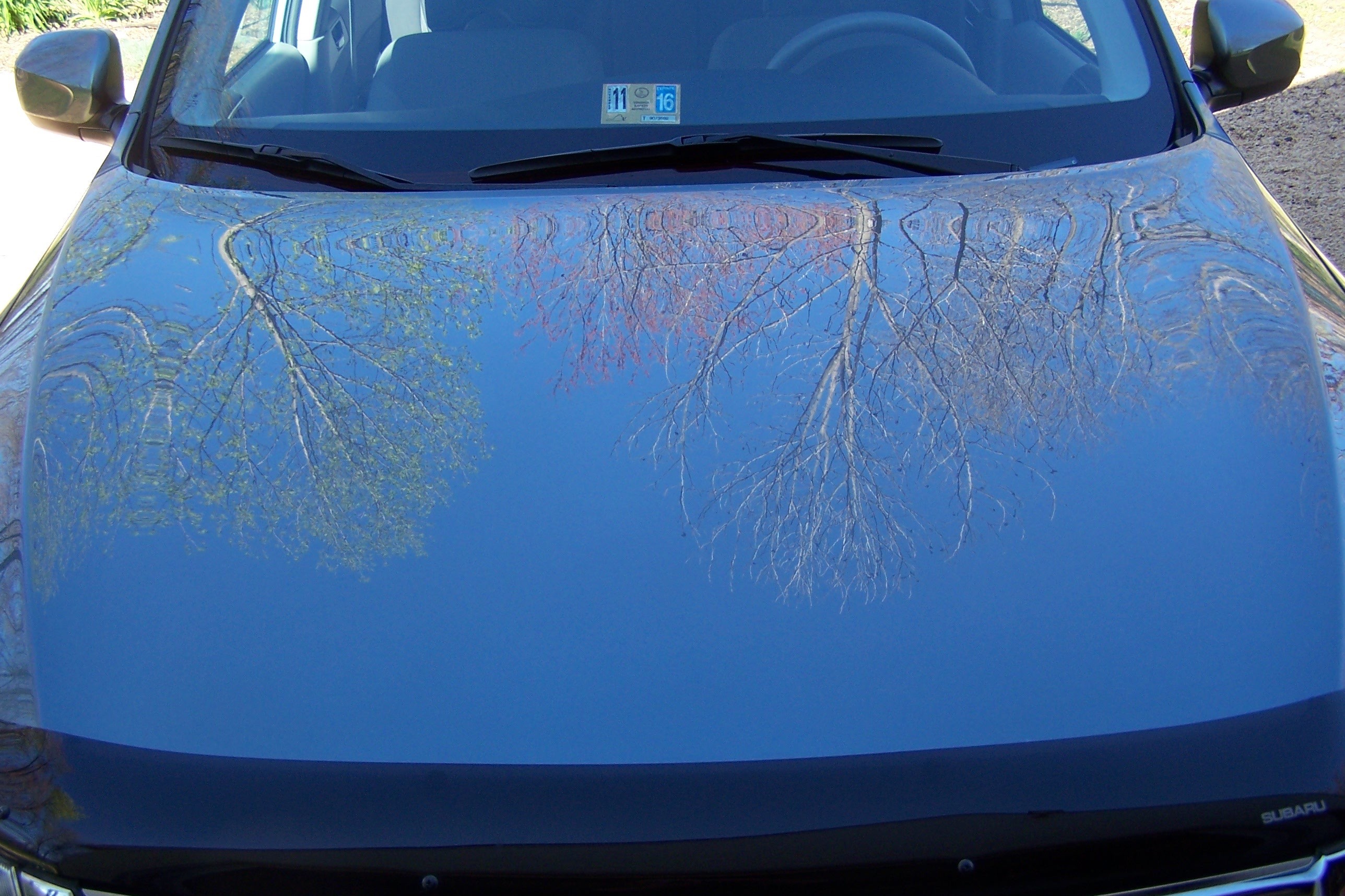 Reflections
