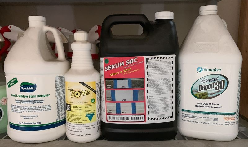 Remove Mold Mildew Boat Class Mike Phillips
