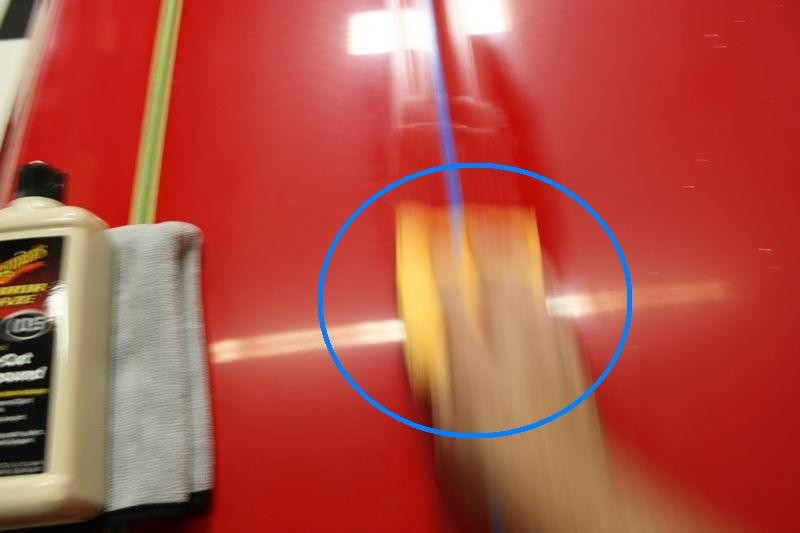 Removing a bird dropping stain Mike Phillips