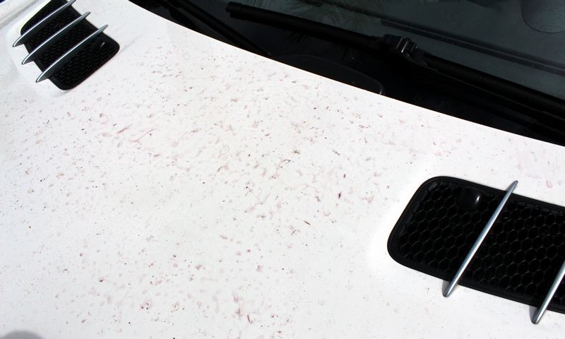 Removing Iron contamination off a Mercedes-Benz SL500