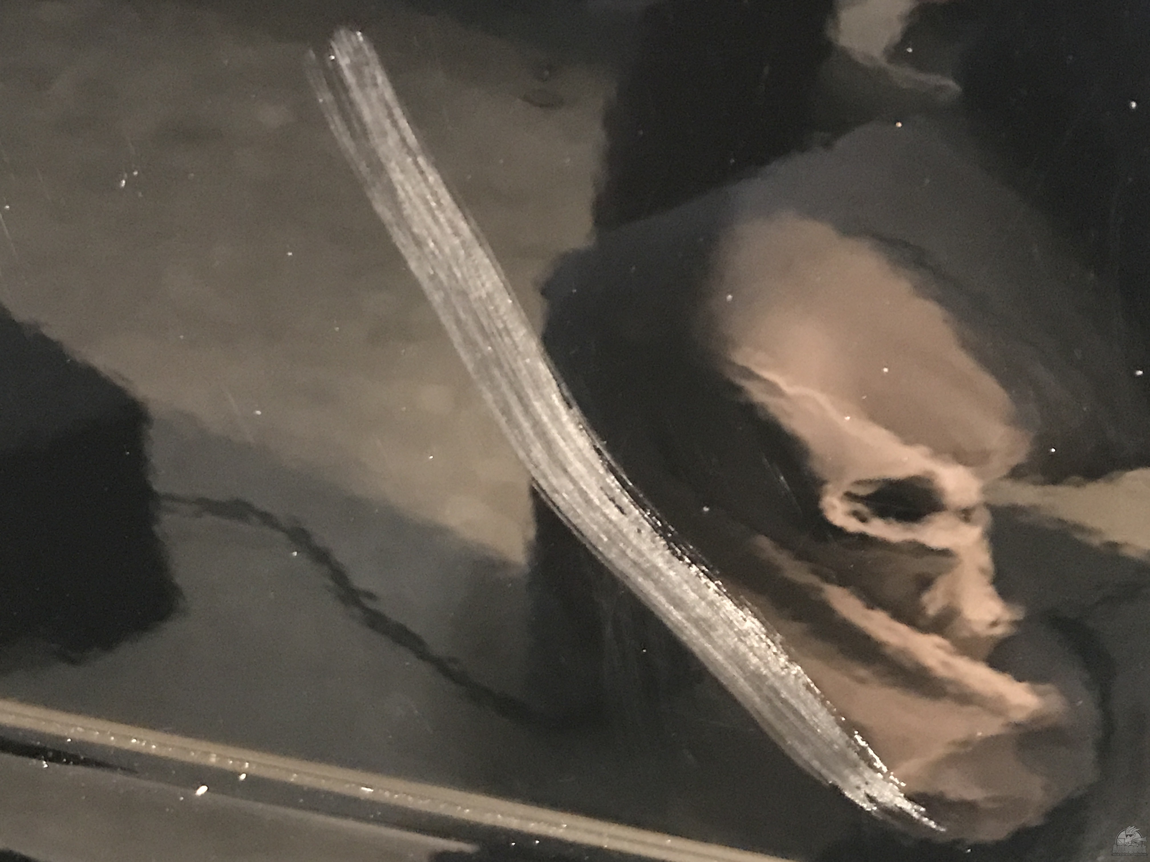 removing scuff mark