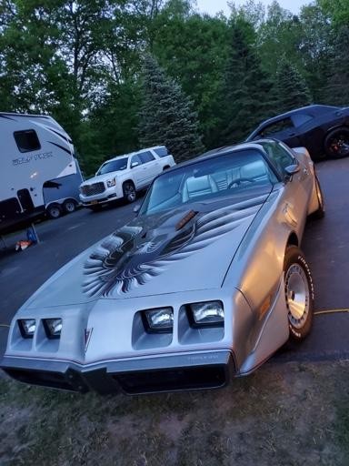 Restore original SCREAMING PHOENIX on 1979 Pontiac Trans Am