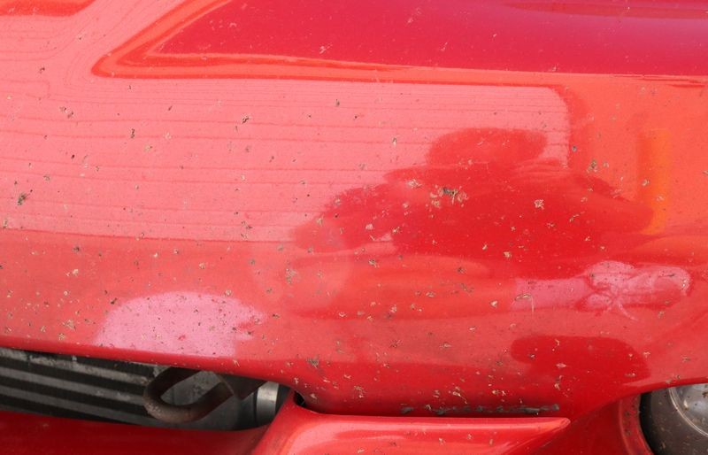 REVIEW: BLACKFIRE Bug Remover  by Mike Phillips