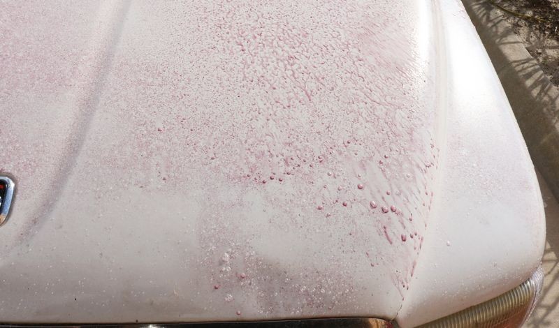 Review BLACKFIRE Iron Remover