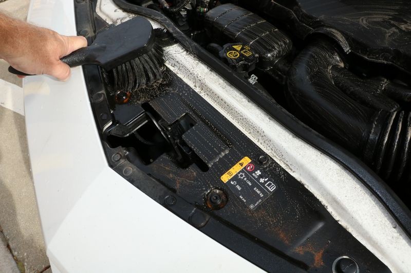 Review BLACKFIRE Super Degreaser