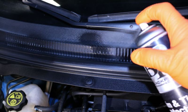 Review BLACKFIRE Trim  Tire Protectant Aerosol
