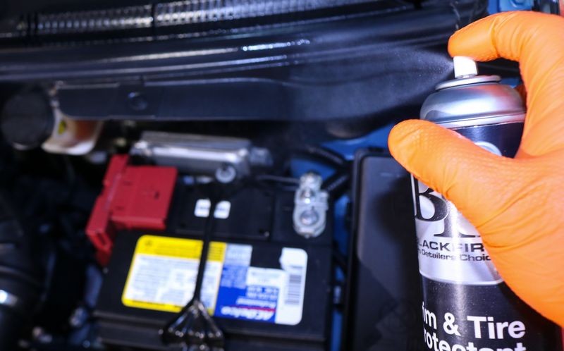 Review BLACKFIRE Trim  Tire Protectant Aerosol