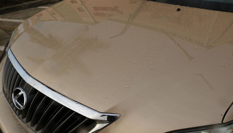 Review BLACKFIRE Wash and Wax by Mike Phillips