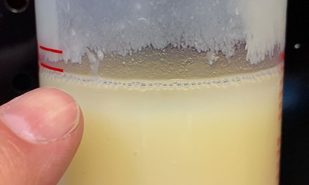 Review Collinite No. 845 Insulator Wax by Mike Phillips